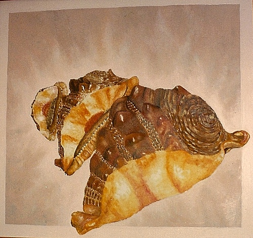 click for large picture